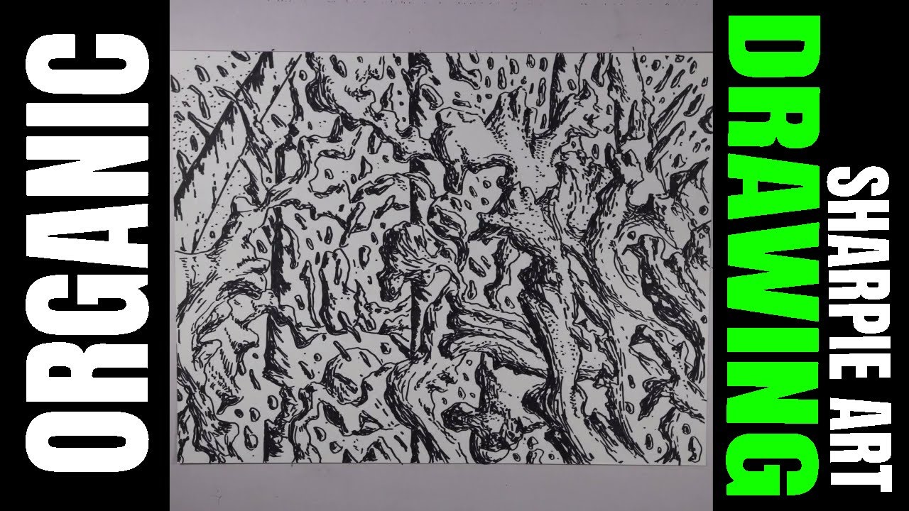 Organic Drawing With Sharpie by J Sheetz