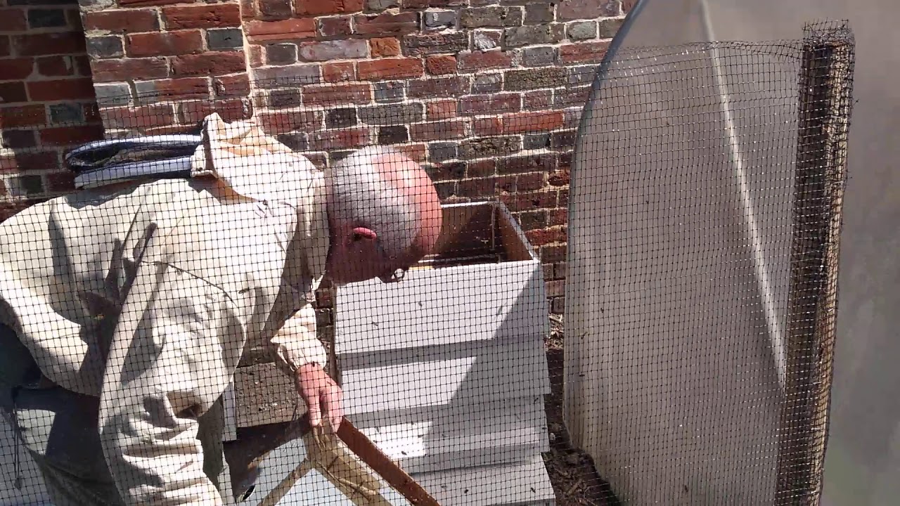 Garden Moments - Making a Hive a Home