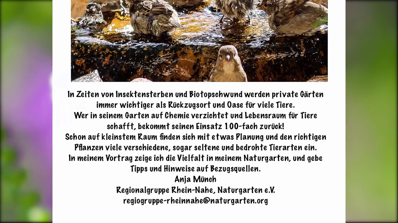 Naturgarten e.V Vortrag Trailer