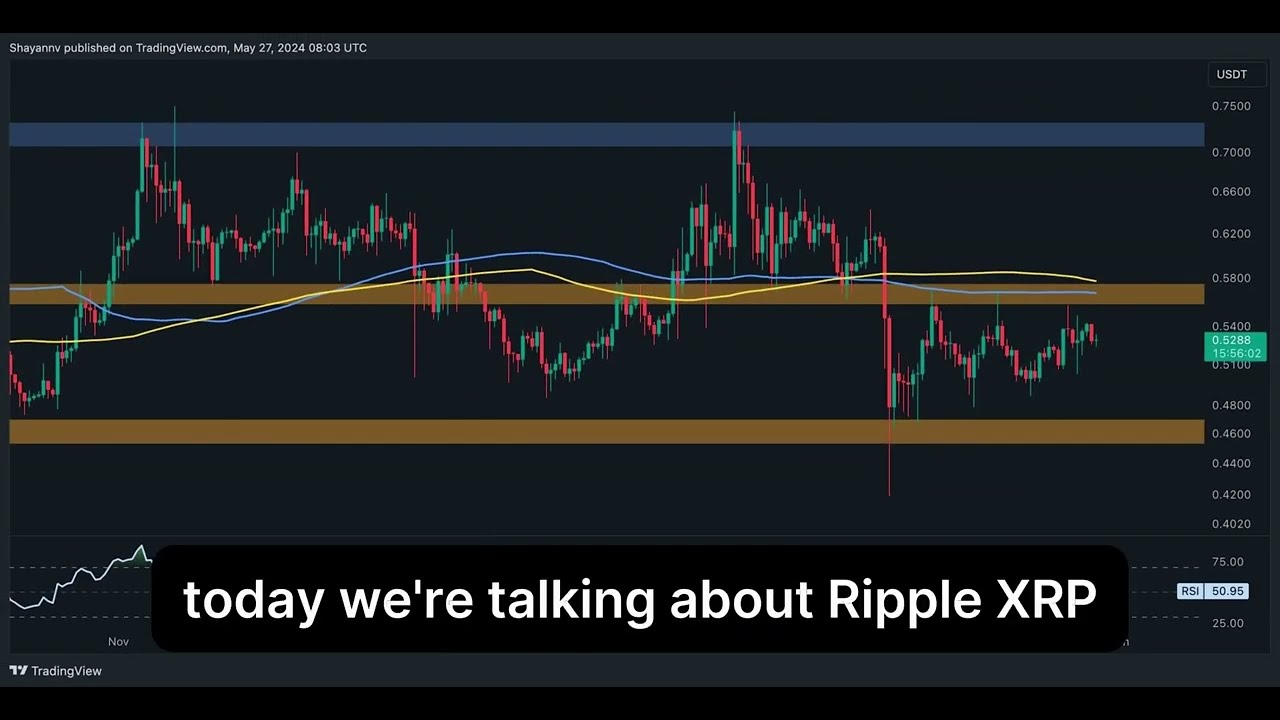 Ripple Ledger Blockchain Records Highest Activity Levels
