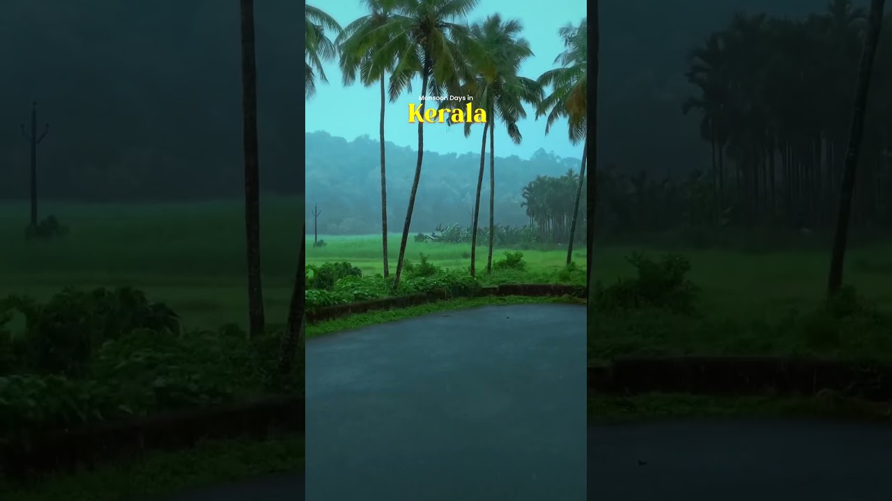 Rainy days in Kerala #shortsvideo #nature #rain #kerala