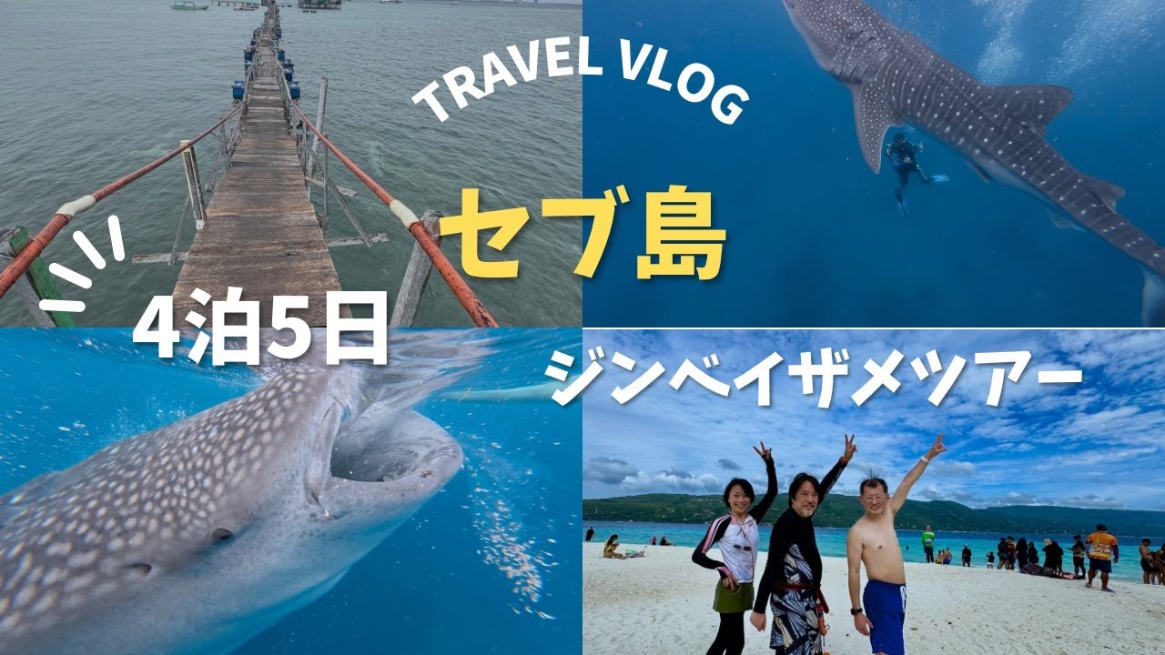 セブ島VLOG〜オスロブ ジンベイザメツアー2025 02 03