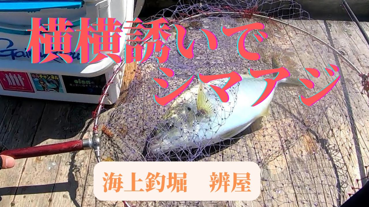 横横ストンでシマアジを掛ける！食い渋りの海上釣堀辨屋