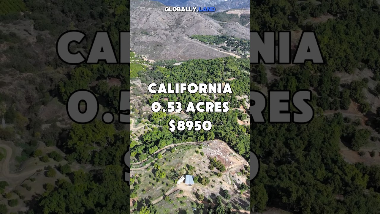 0.53 acres in California for $8,950 #foryou #realestate #california #land #property #shorts #viral