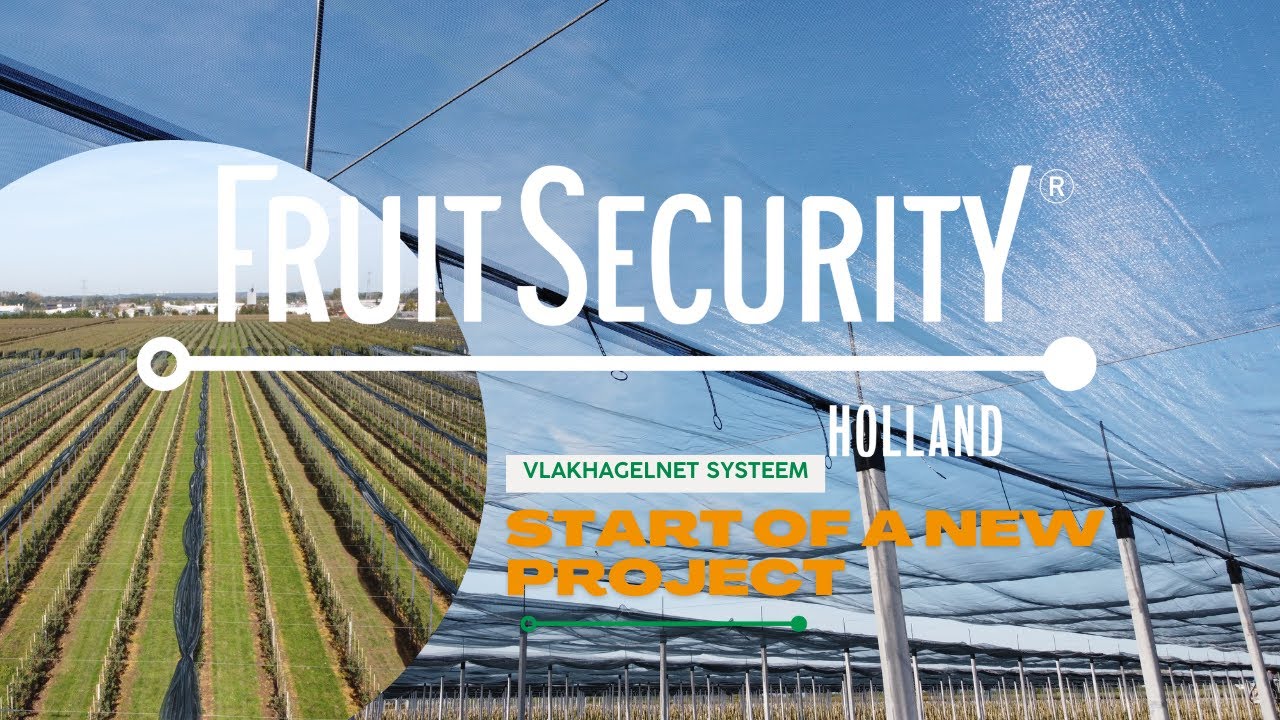 A new project of eight hectares of hail net! - FRUITSECURITY HOLLAND