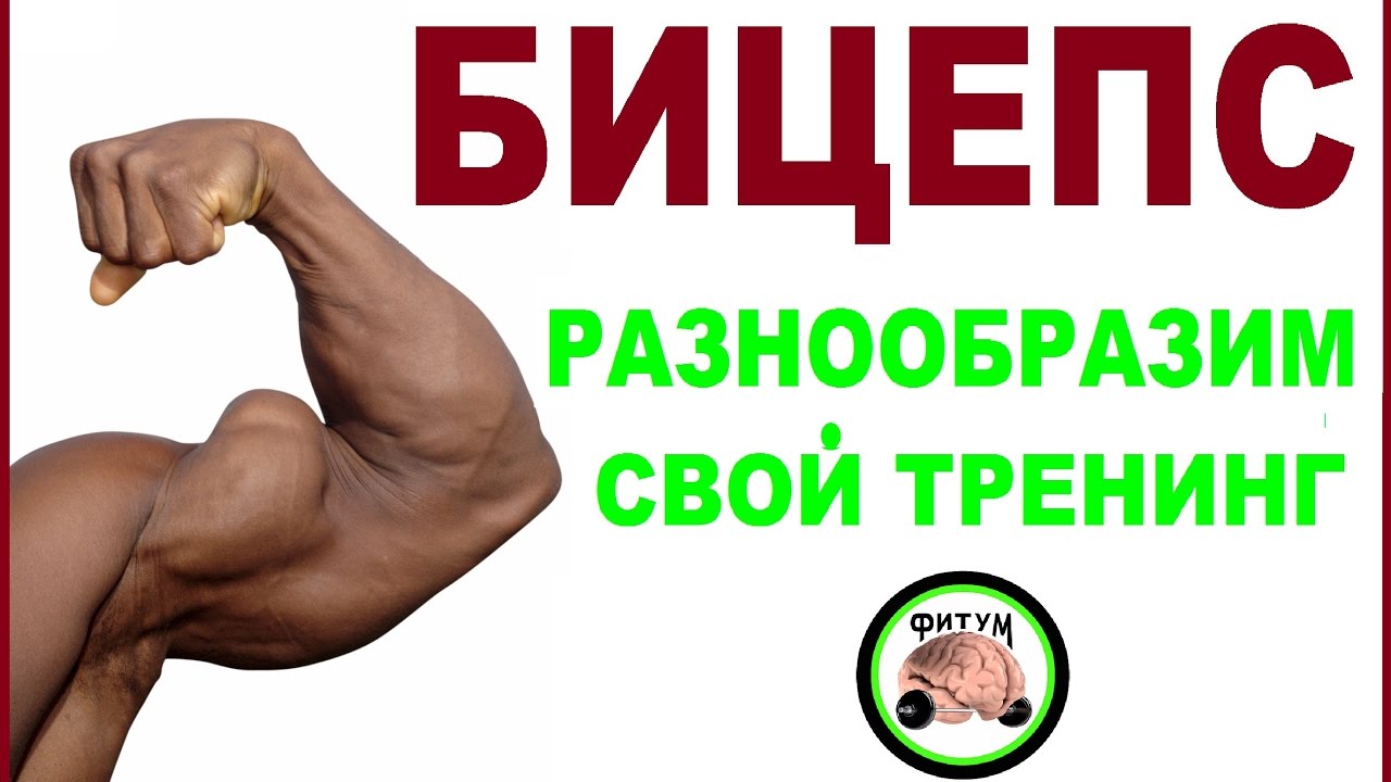 Бицепс - разнообразим свой тренинг