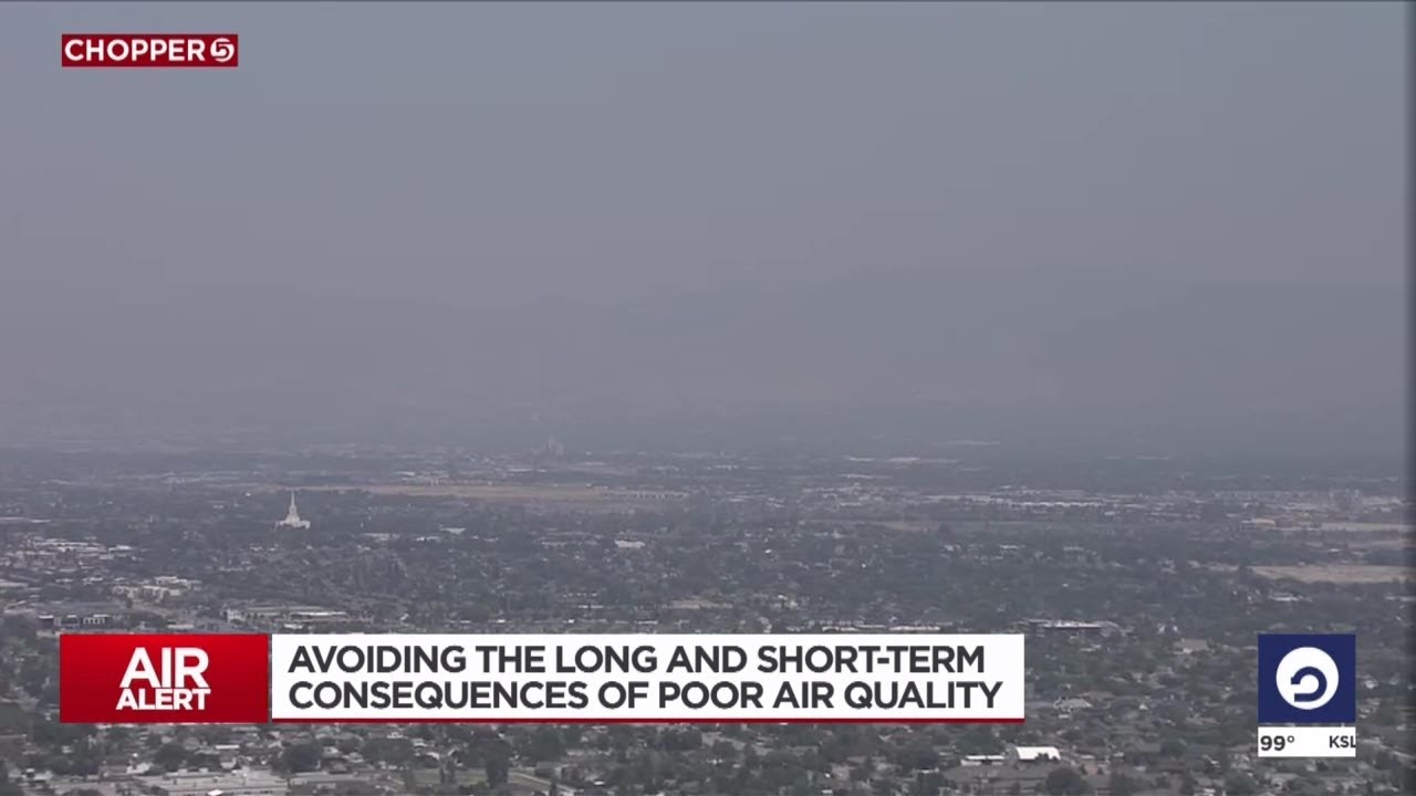 Avoiding the long and short-term consequences of poor air quality