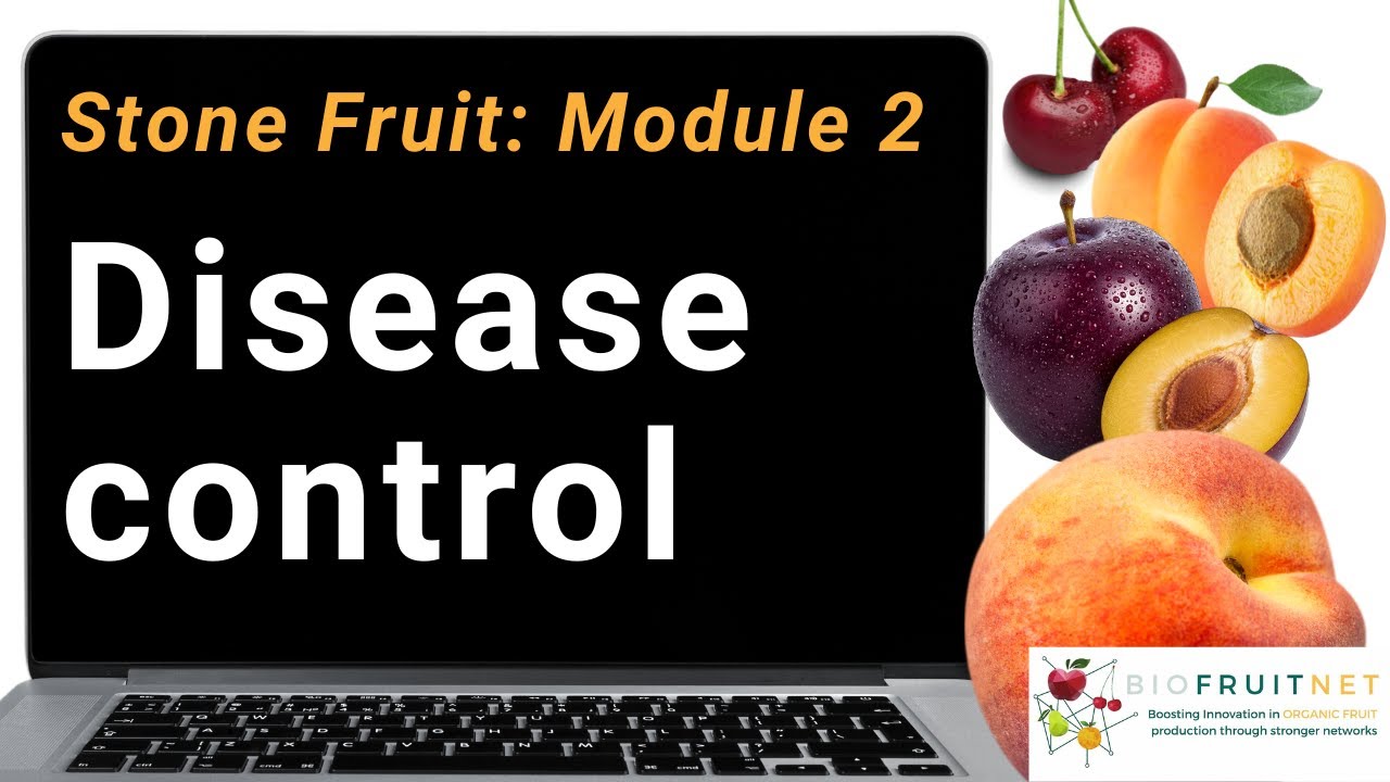 Stone fruit module 2: Disease control