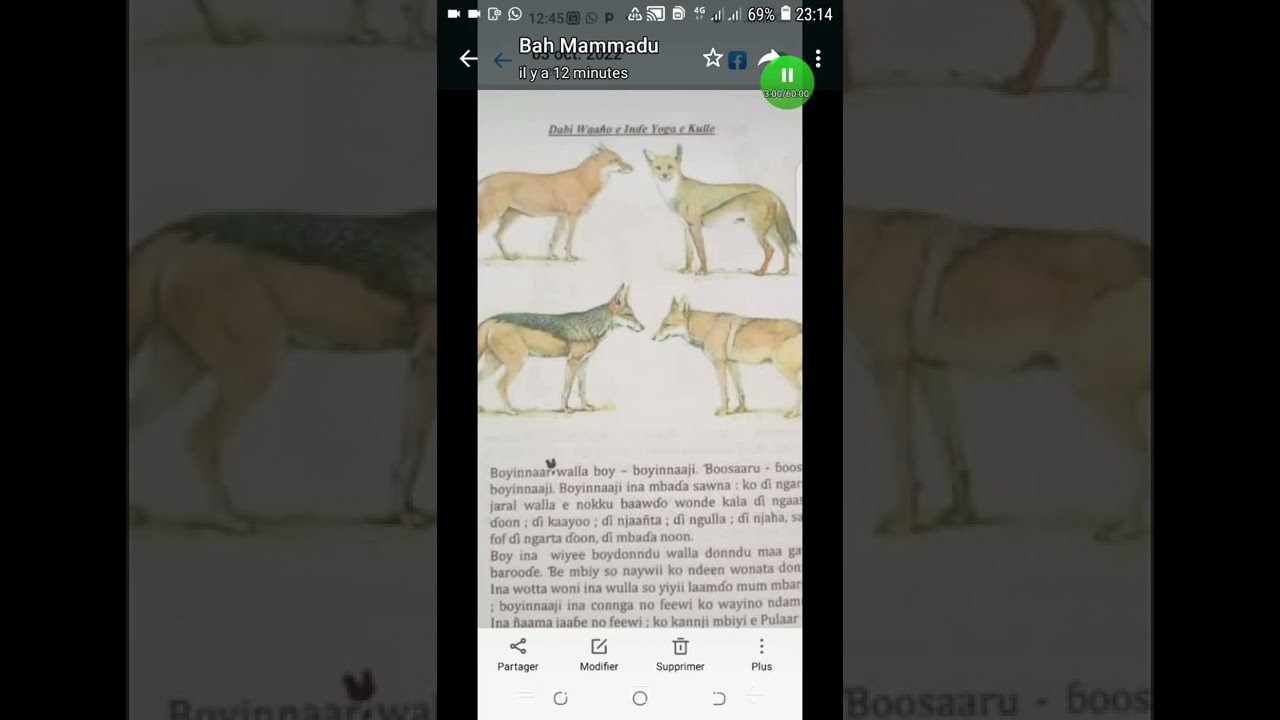hetto ganndo naftoroda