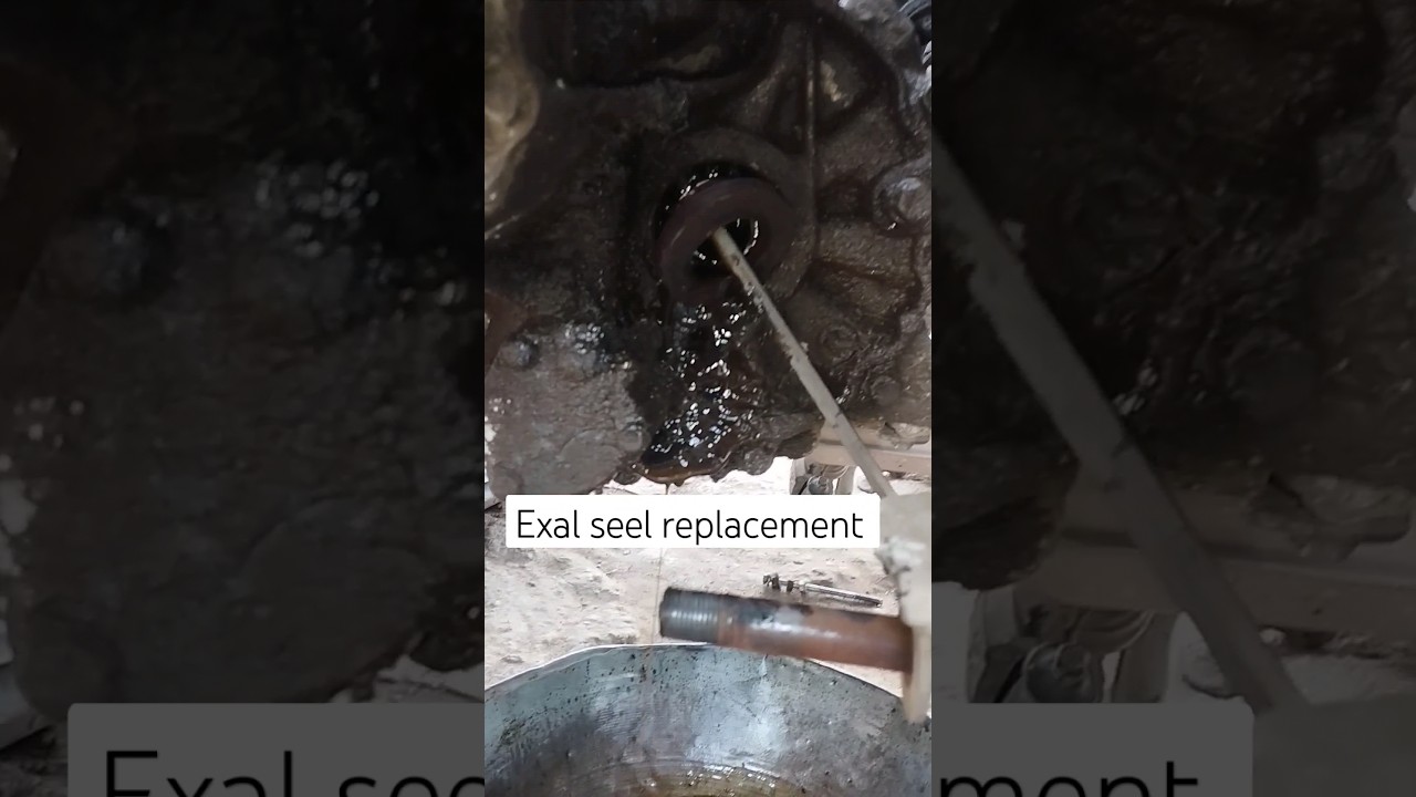 CV joint shaft oil seal replacement quick Excel seal replacement transmission seal replacement #audi