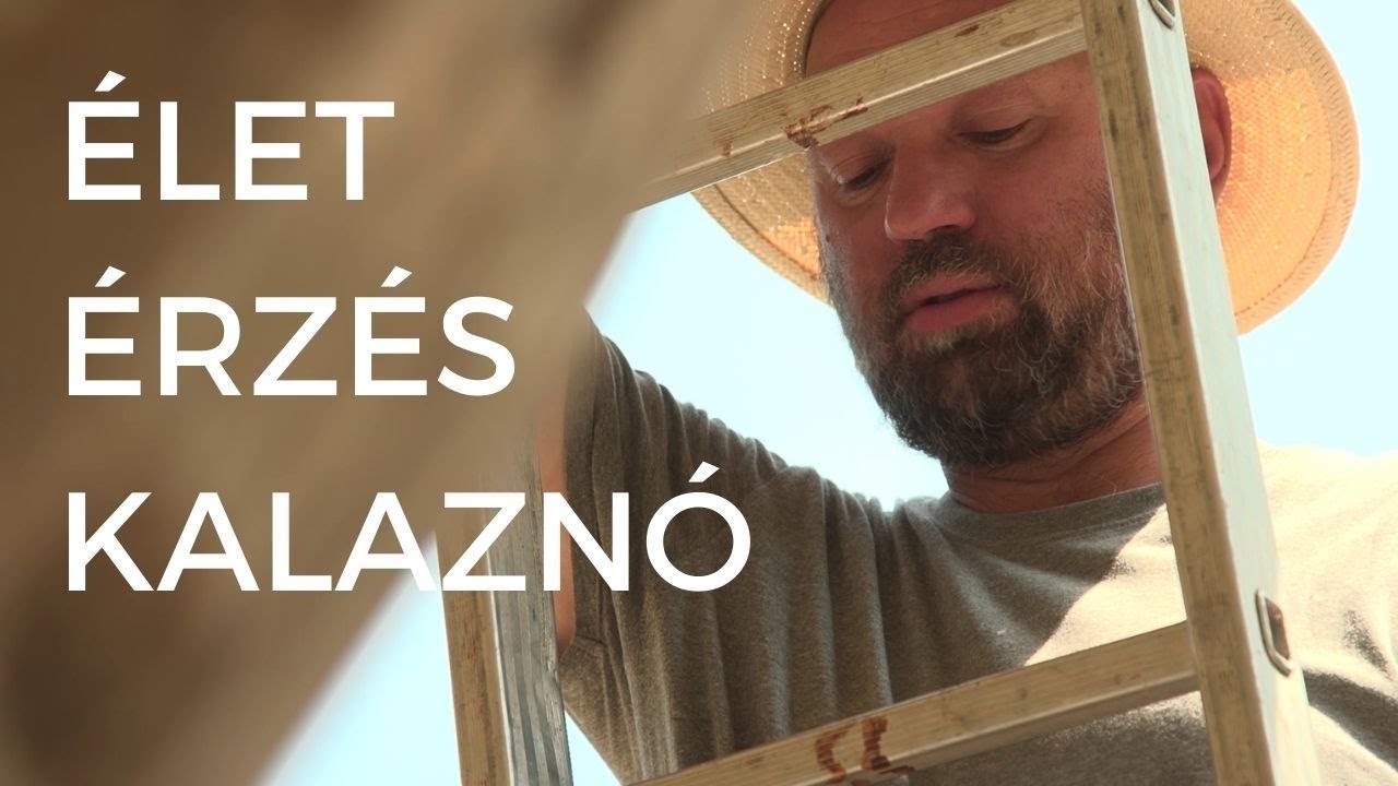 Élet. Érzés. Kalaznó. - „Kalaznón nem sajnáljuk a titkainkat!”  (2. évad 5. rész)