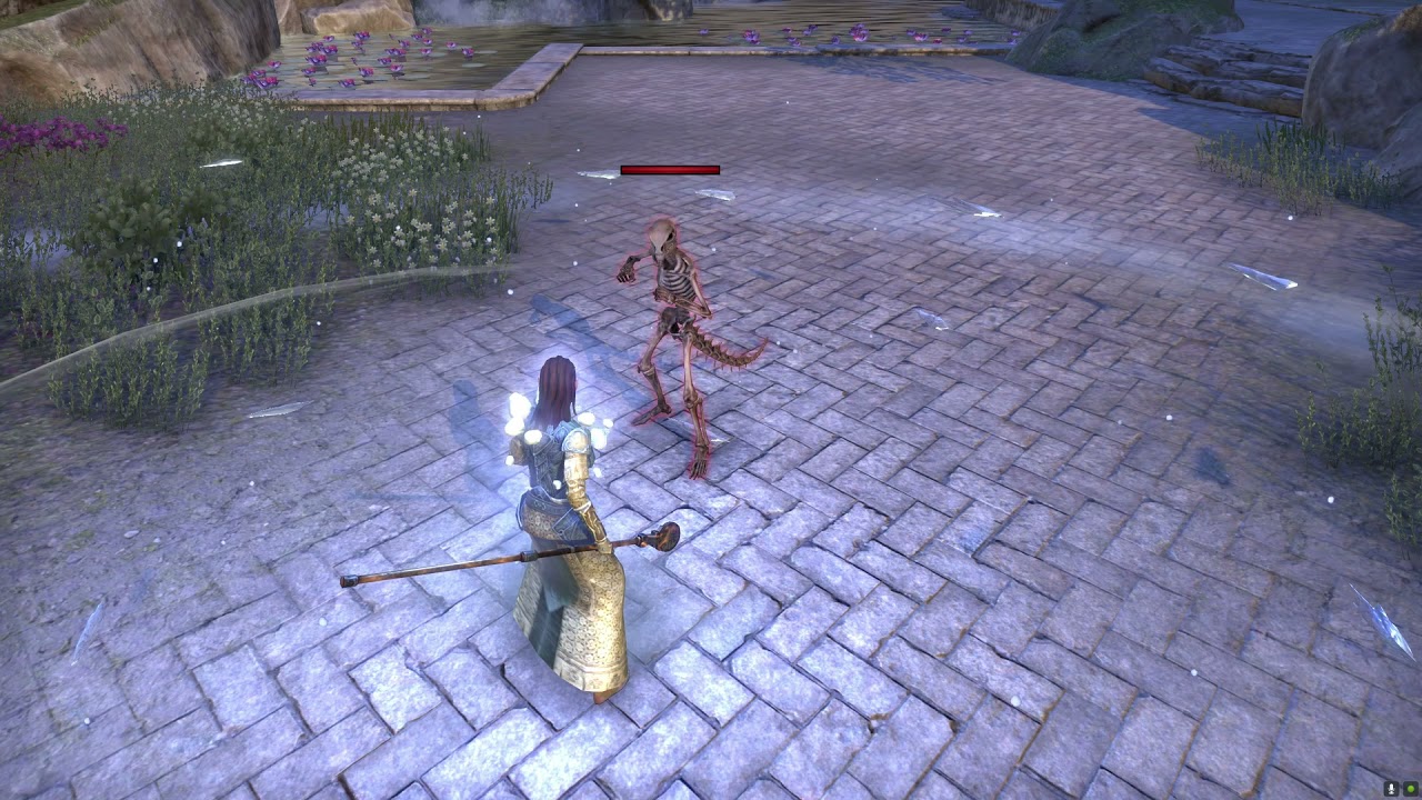 Sleet Storm Ultimate Ability Warden Class in ESO (Elder Scrolls Online)