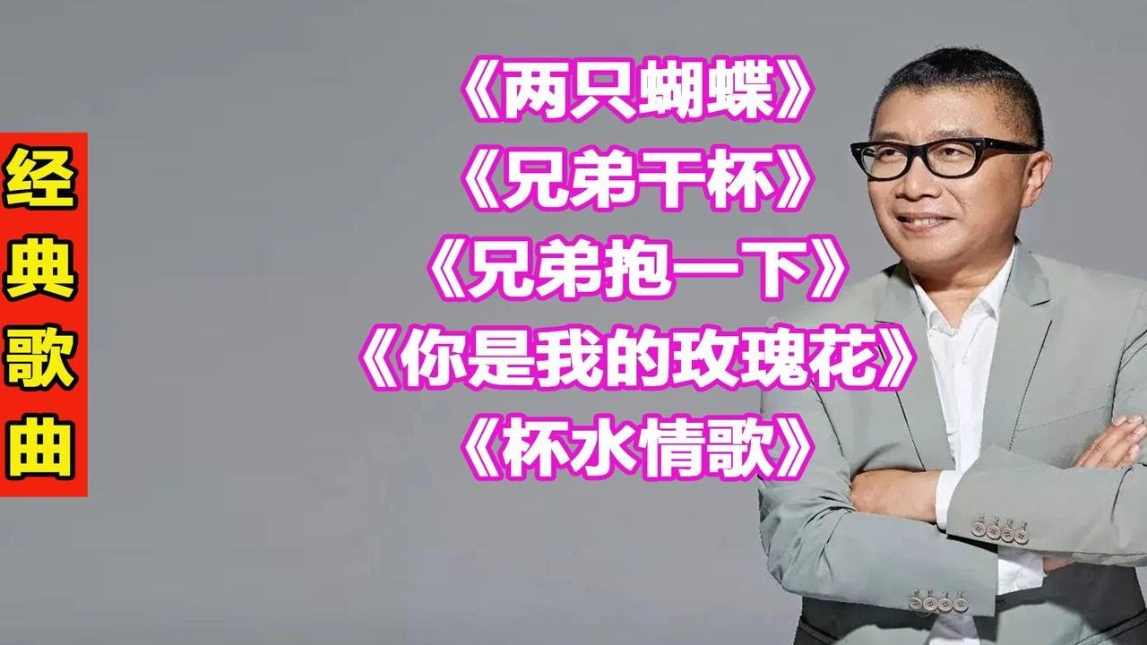 庞龙经典歌曲79两只蝴蝶兄弟干杯兄弟抱一下你是我的玫瑰花杯水情歌