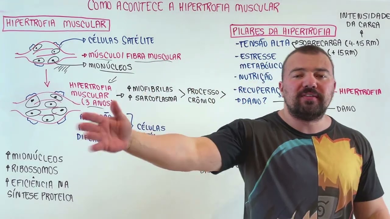 GodoiFLIX - Como acontece a hipertrofia muscular