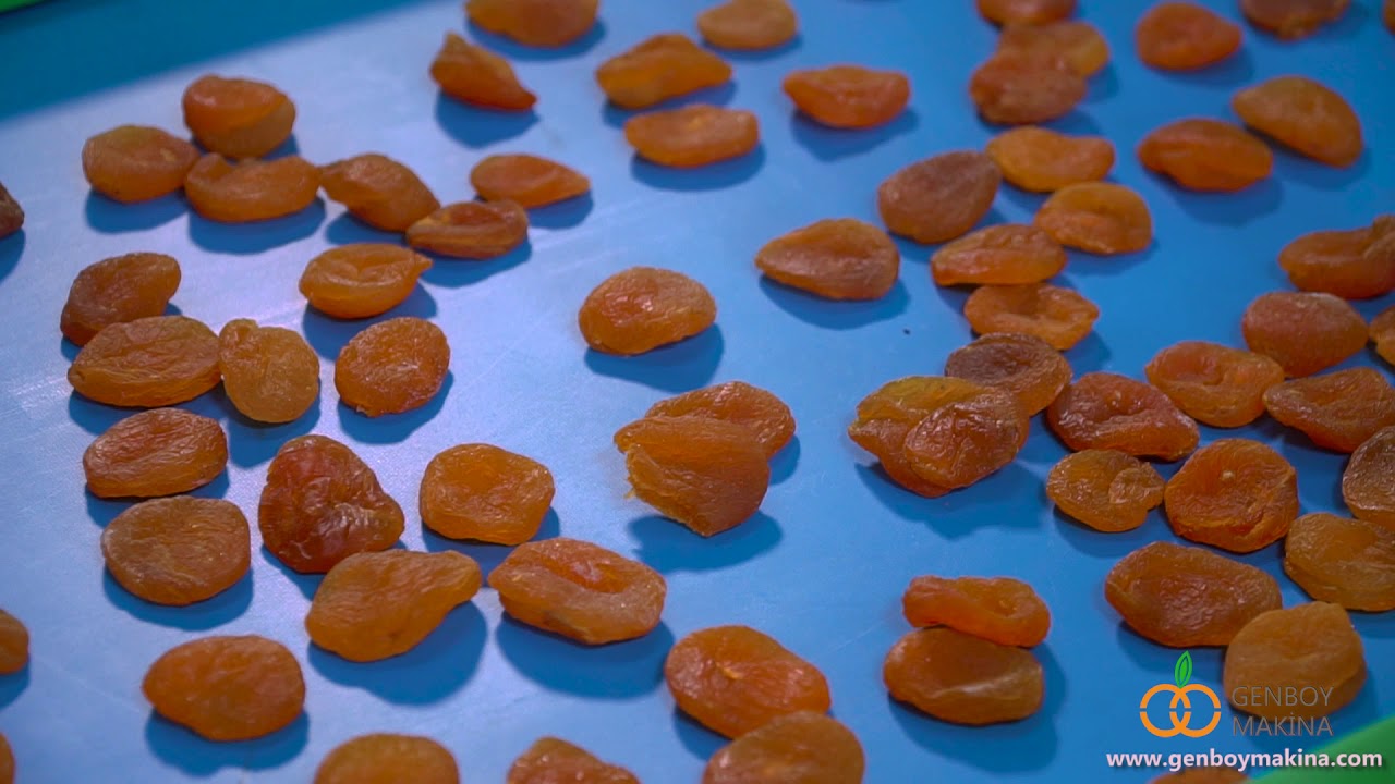 Dried Fruit Cube Cutting Machine