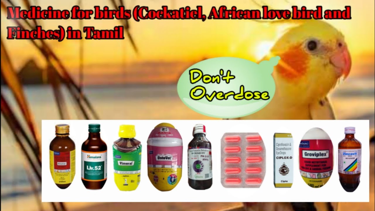 Medicine for birds (Cockatiel, African love bird and Finches)
