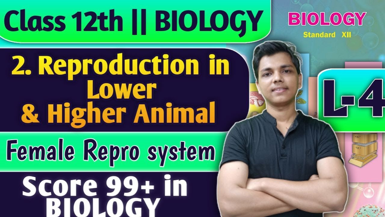L-4 | 2. Reproduction in Lower and Higher Animal Class 12 Biology Sexual Reproduction #biology