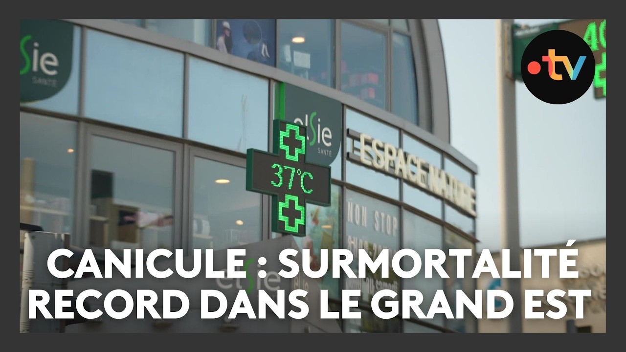Canicule : une surmortalit&eacute; record dans le Grand Est, la plus &eacute;lev&eacute;e observ&eacute;e depuis 2003