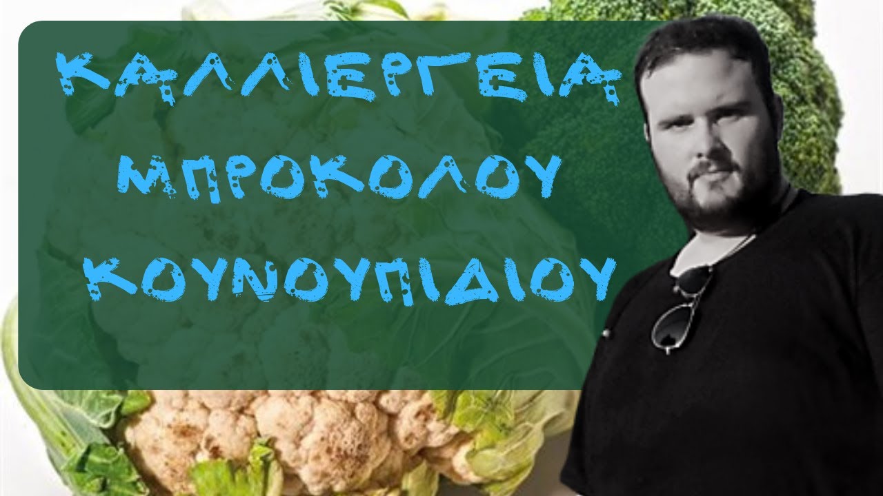 #ΚΑΛΛΙΕΡΓΕΙΑ ΜΠΡΟΚΟΛΟΥ ΚΟΥΝΟΥΠΙΔΙΟΥ OGEOPONOS.FARM ΟΝΟΥΦΡΙΟΣ ΔΗΜΗΤΡΑΣ
