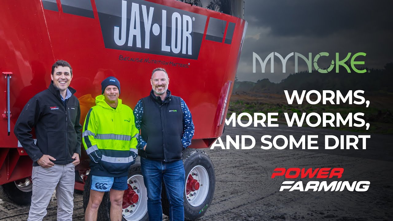 The MyNoke Story