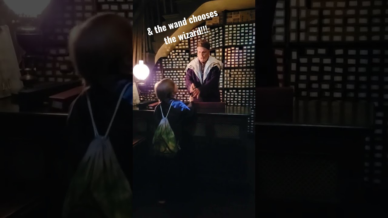Olivander's Wand Shop Wizarding World Interactive Experience | Universal Studios Vacation