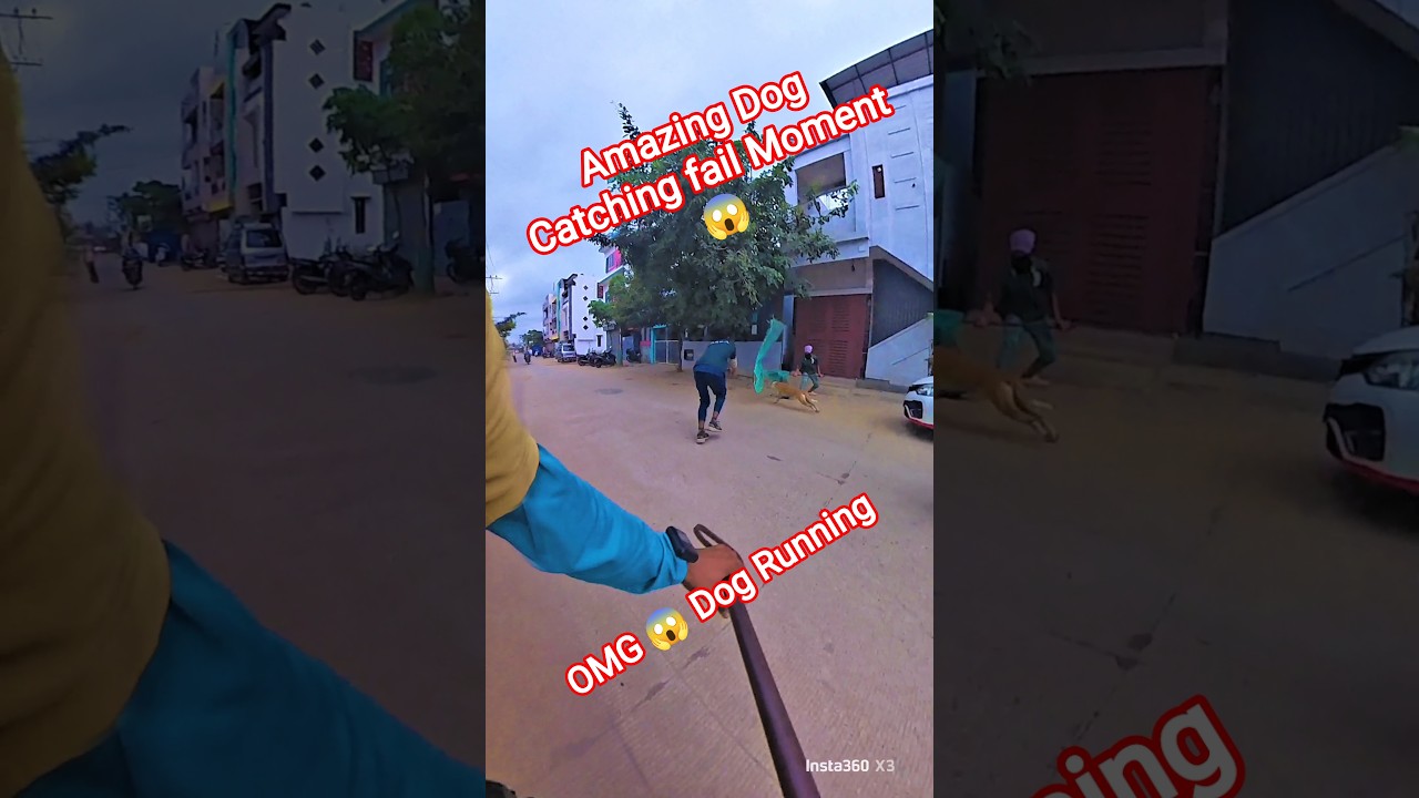 Nepali Dog Catcher Aggressive Dog 