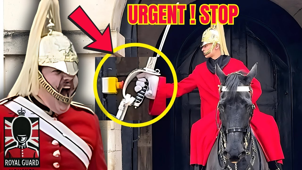 When the Royal Guard Breaks Character in Unforgettable Ways