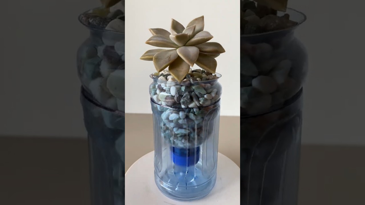 🌱✨Plastic Bottle &rarr; Succulent Planter #DIY planter #bottle upcycling #recycle plastic bottle