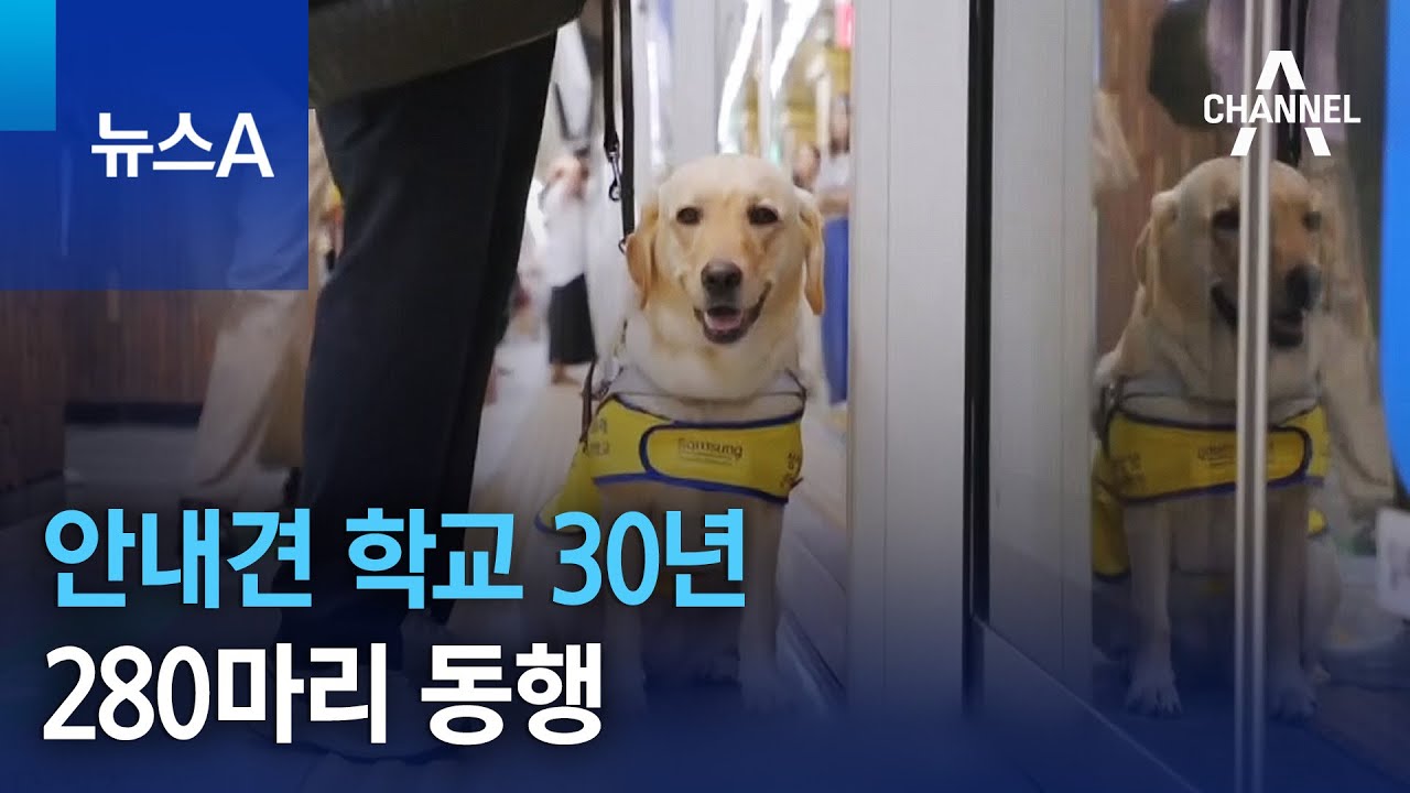 안내견 학교 30년…280마리, 시각장애인과 동행 | 뉴스A