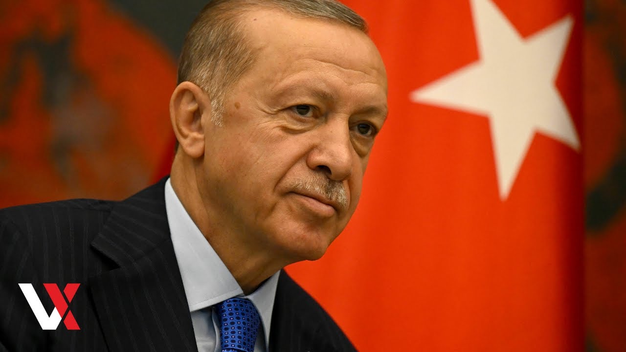 Turkey Is Willing To Support Peace Initiatives And Ceasefire In Ukraine - Erdogan | VERTEX