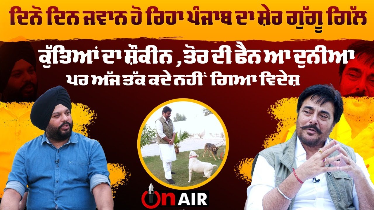 ਦਿਨੋ ਦਿਨ ਜਵਾਨ ਹੋ ਰਿਹਾ ਪੰਜਾਬ ਦਾ ਸ਼ੇਰ ਗੁੱਗੂ ਗਿੱਲ,ਕੁੱਤਿਆਂ ਦਾ ਸ਼ੌਕੀਨ ,ਤੋਰ ਦੀ ਫੈਨ ਆ ਦੁਨੀਆ ,