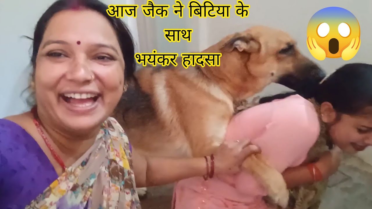 हंसते हंसाते जैक ने क्या कर दिया मैने सोचा ना था😭😭#funnydog#jarmanshephard#memohinidog#jackiethegsd😭