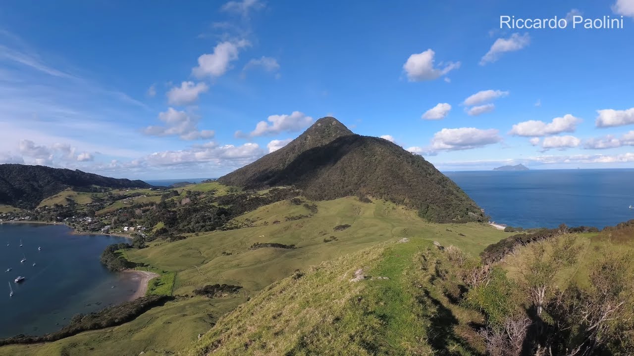 Smugglers Bay Loop Track - Whangarei Heads