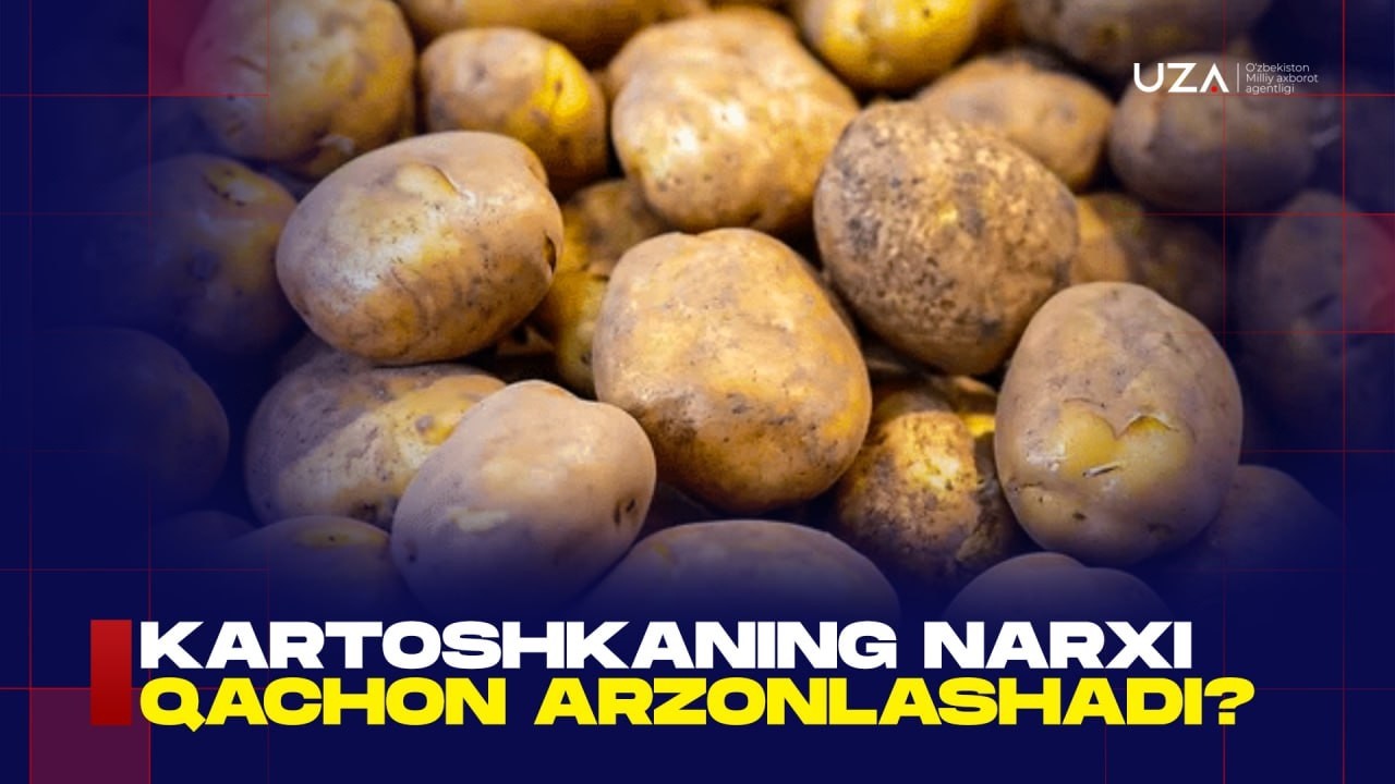 Kartoshkaning narxi qachon arzonlashadi?