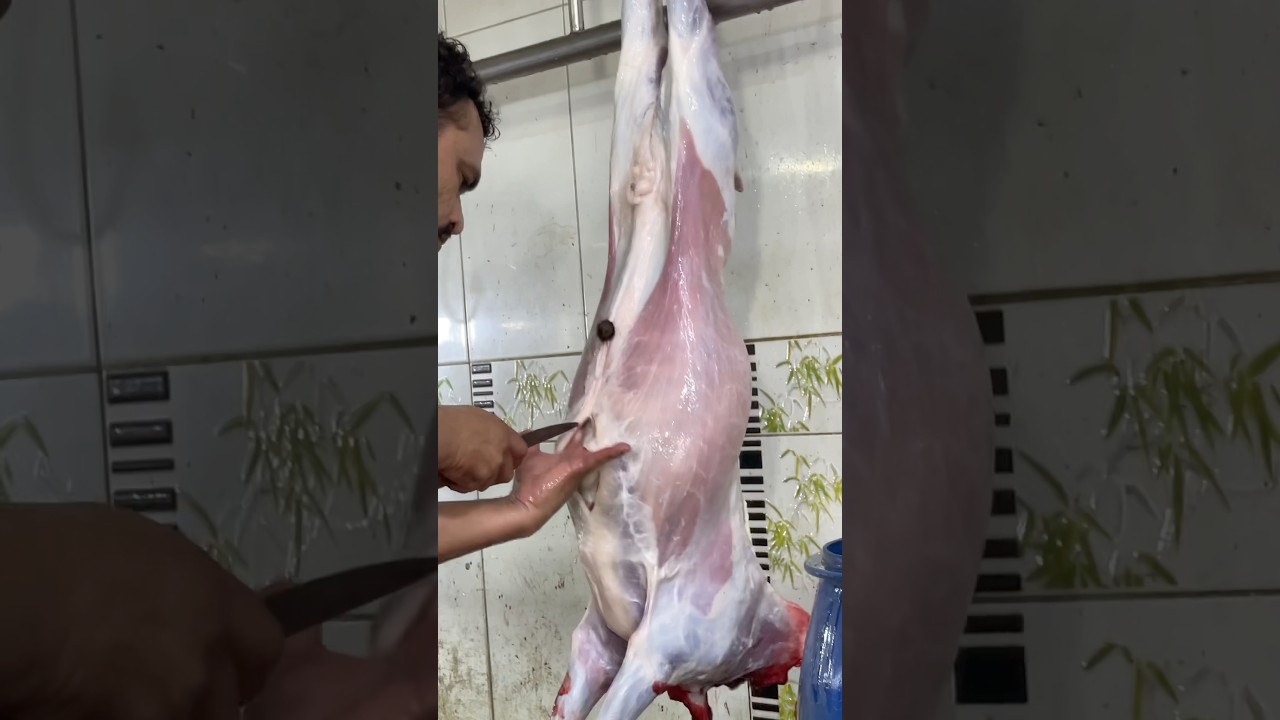 Giant Goat Cleaning Process in the Market | Meat Cutting | Mutton Chopping | Knife Skills | Butcher
