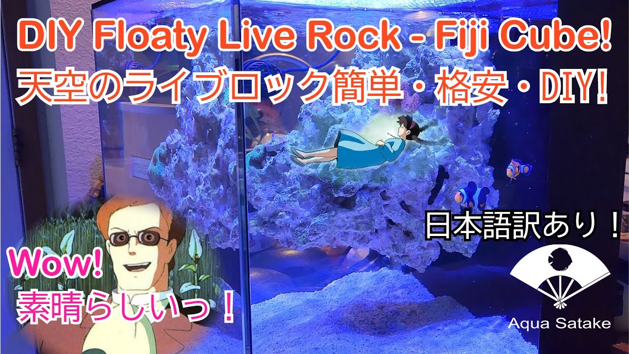 Removable Floaty Live Rock！ 天空！？のライブロック - Fiji Cube