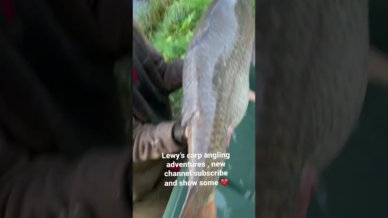 Lewy&rsquo;s carp angling adventures , a lot more videos to come subscribe and show some love ❤️🎣