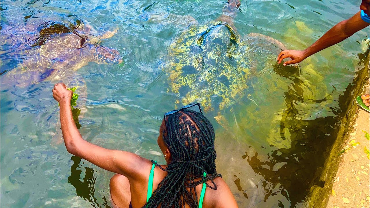 ZANZIBAR🇹🇿VLOG: Things To do in Zanzibar 🇹🇿.Nungwi Mnarani Aquarium + More