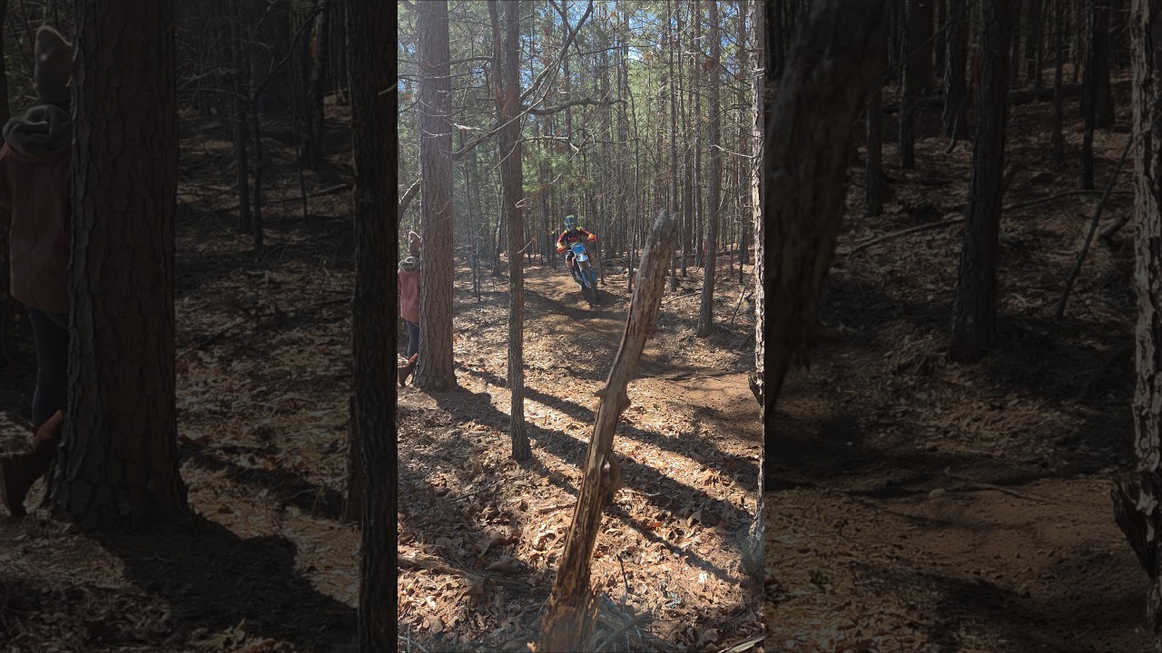 Приключения в лесу #мотоциклыдлявнедорожника #мотоциклдлявнедорожника #мотоциклдлявнедорожника
