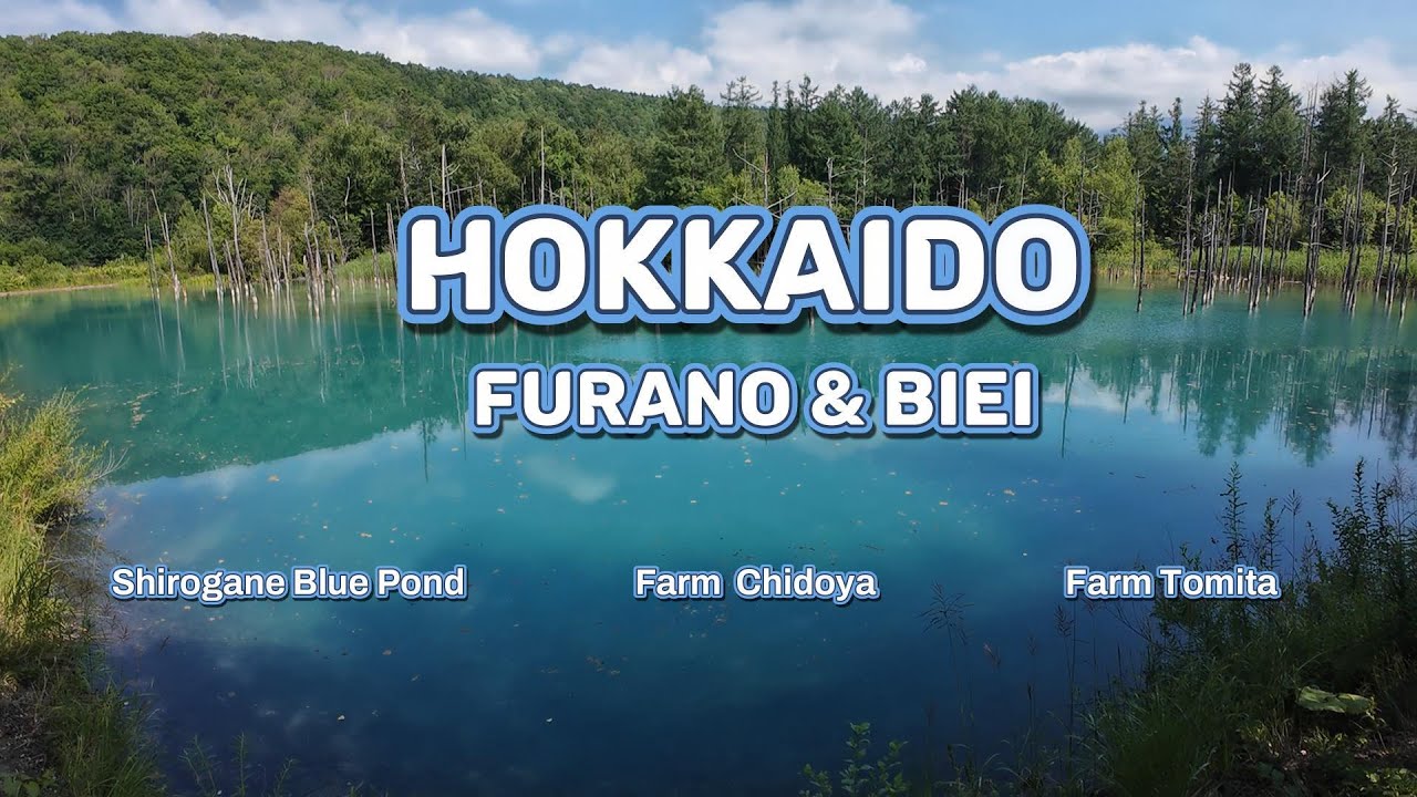 A Perfect Day in Hokkaido: Farm Chidoya, Shirogane Blue Pond & Farm Tomita Adventure!
