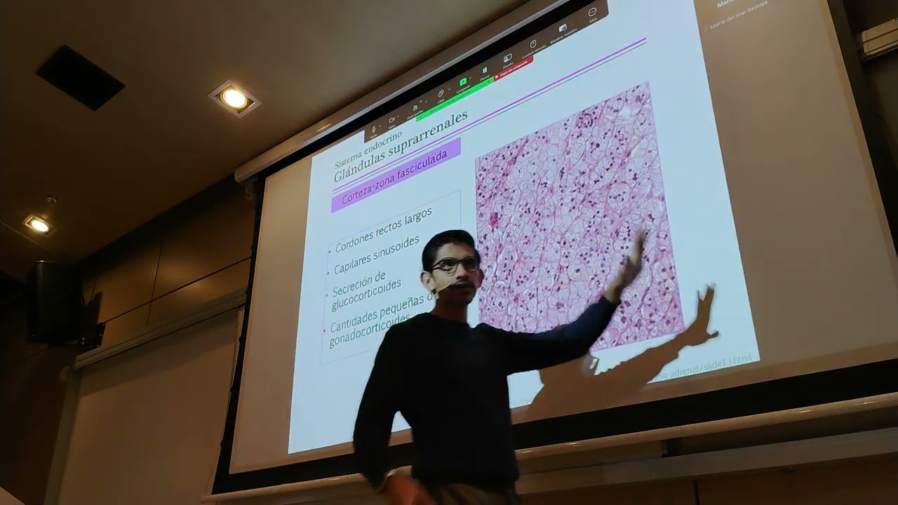 Histología clase 2 