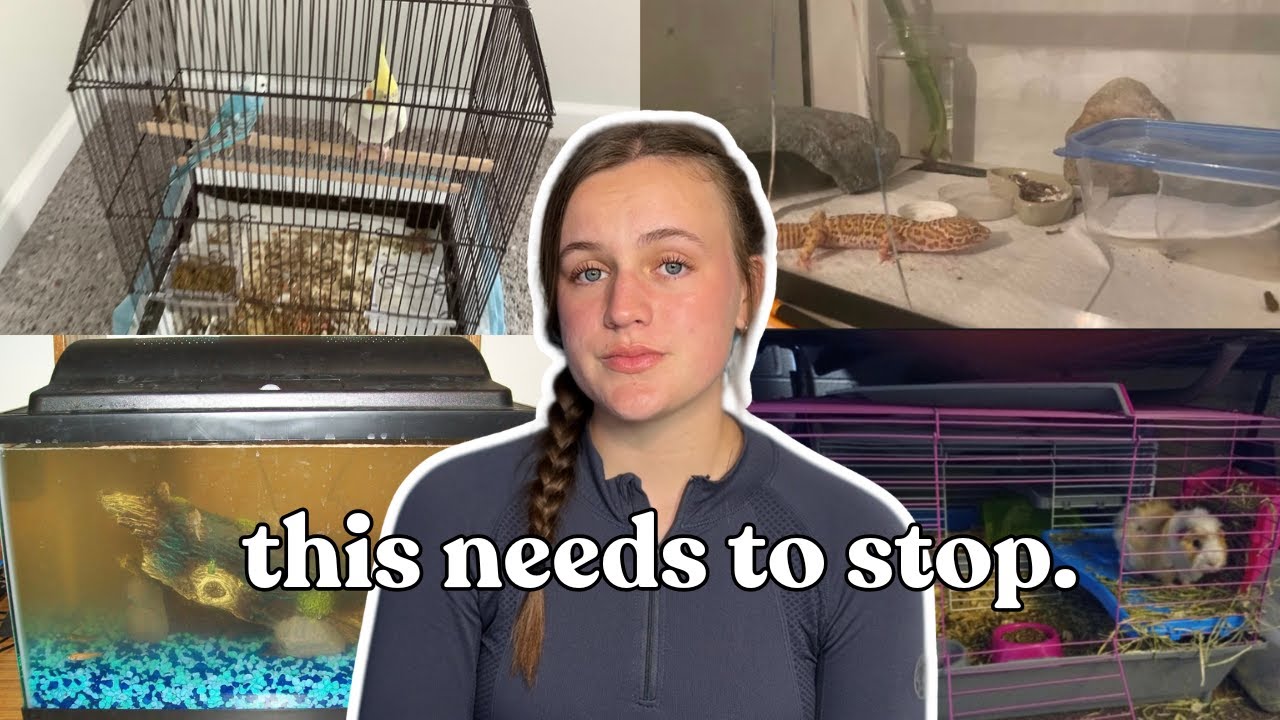 The Common Neglect of Small and Exotic Pets