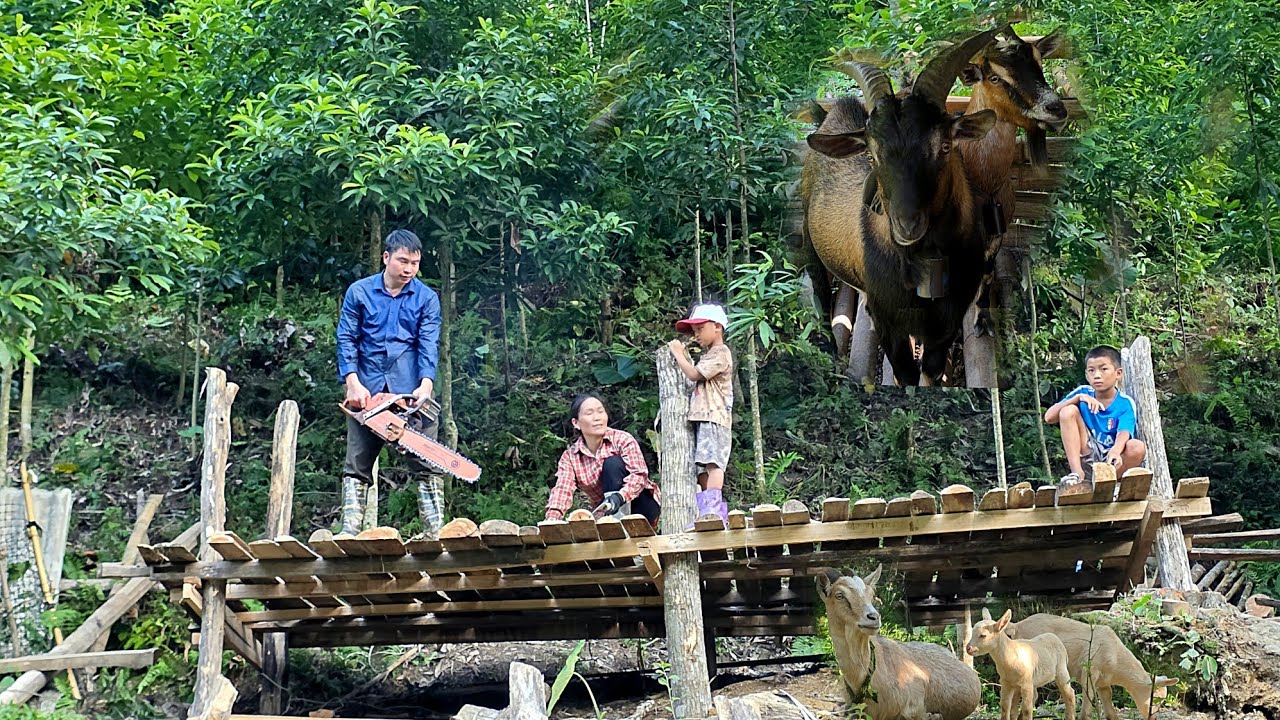 Dang and Thanh built a new wooden house for their goats to live in. dangthidu 