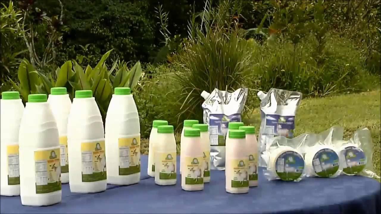Generalidades de cabras Razas, reproducci&oacute;n y sistemas de producci&oacute;n lechera CPC