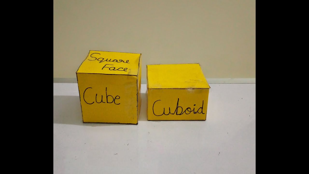 How to make Cube and Cuboid with paper #twinsisStudy