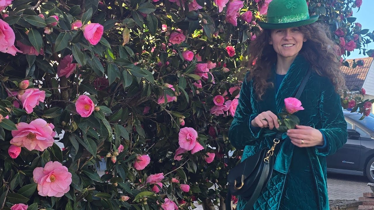 ⚜️📯 Sacou vintage  Escada pierdut 🥹 ~ St. Patrick's day cu verde smarald catifelat! 📯⚜️
