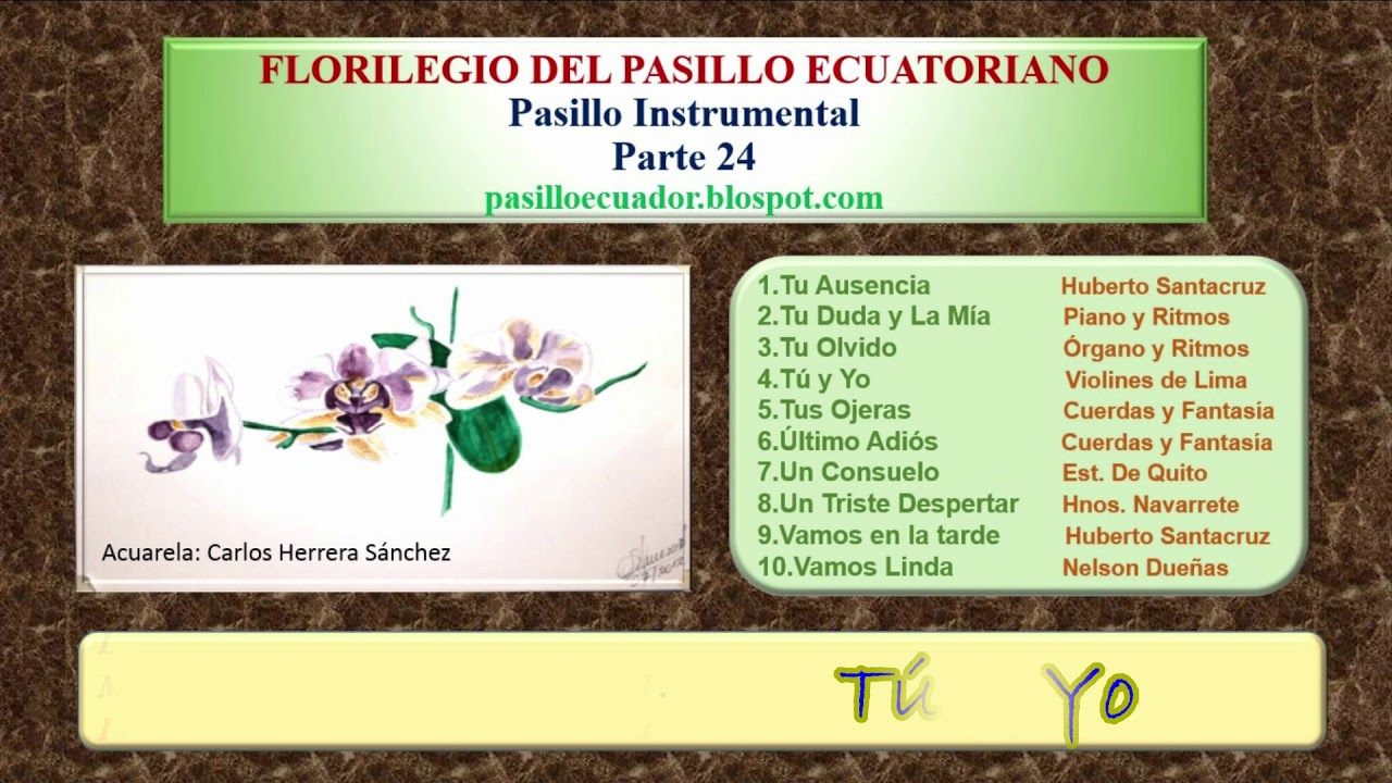 Pasillo Instrumental Parte 24
