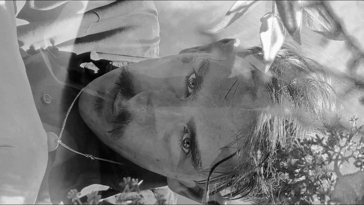 Patrick Wolf / The Laughing Dove / Official Music Video