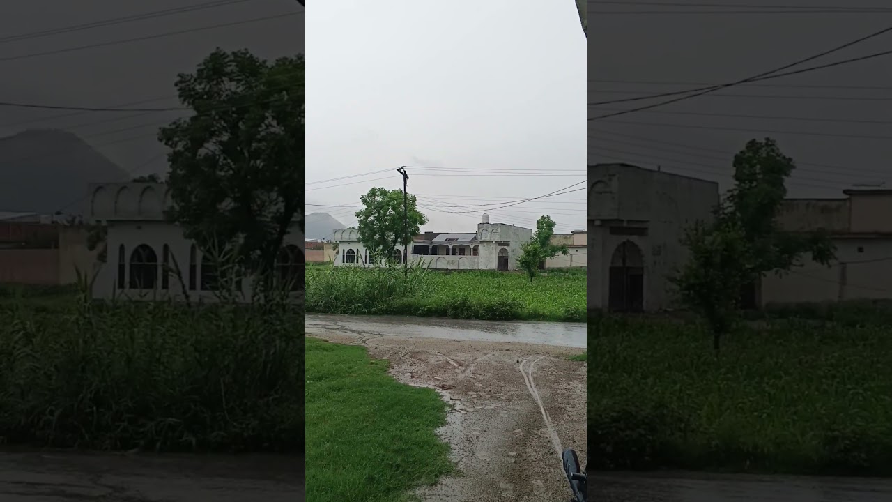Rain in the village #nature #shortvideo #villagelife