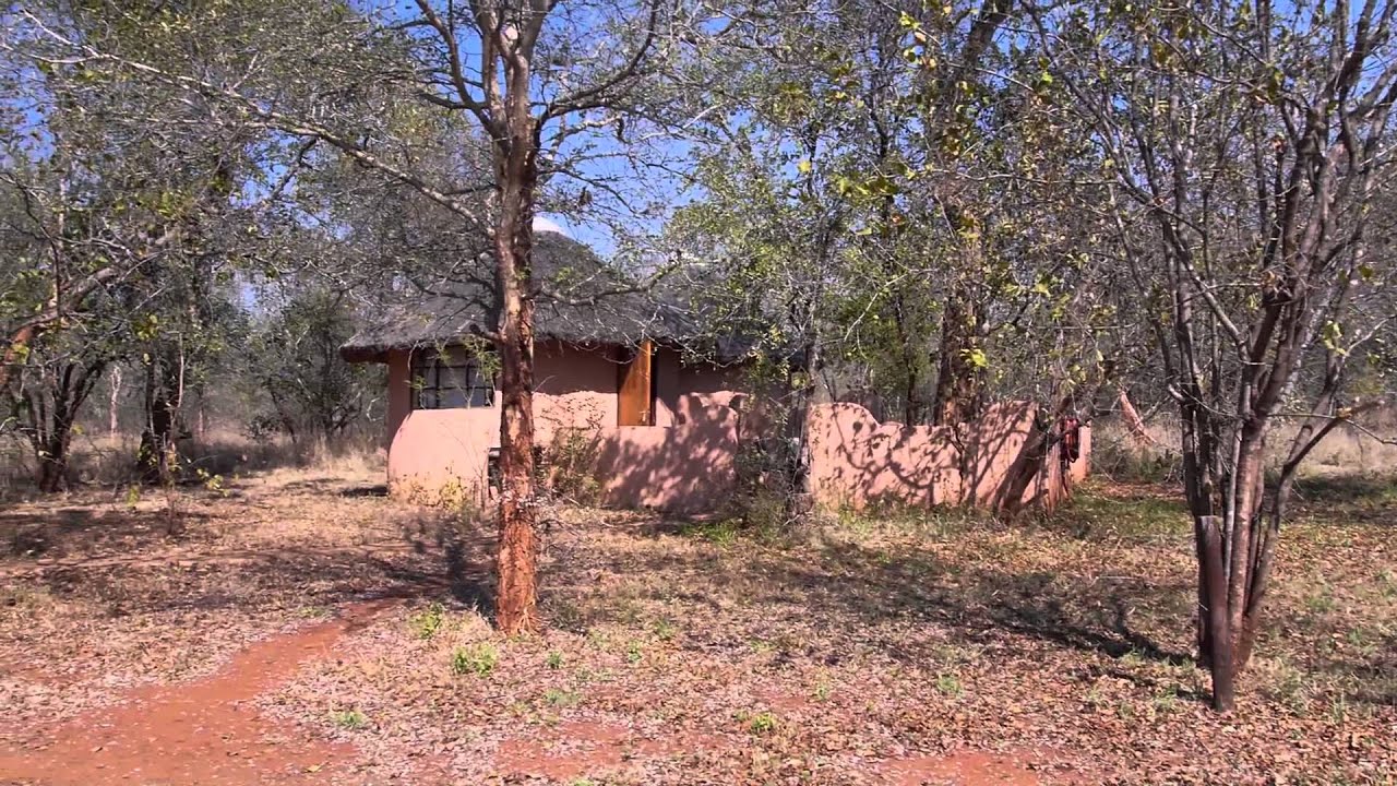 Bushwise Field Guides Campus